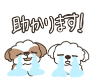 786771662