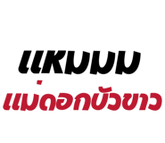 786776123