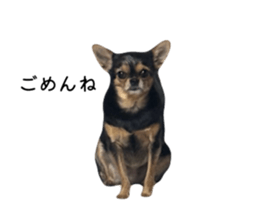 786783456
