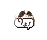 786783532