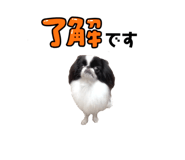 786783533