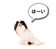 786783534