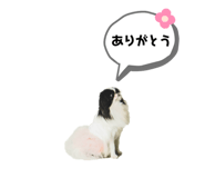 786783535