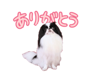 786783538