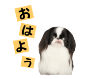 786783546