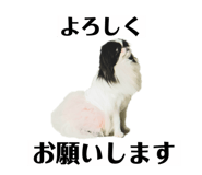 786783552