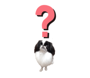 786783556