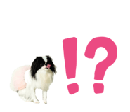 786783557