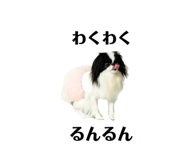 786783559