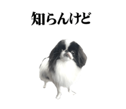 786783560