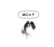786783561
