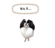 786783562