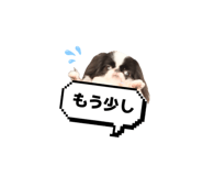 786783565