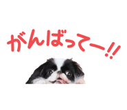 786783566