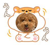 786788445