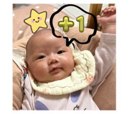 786799531