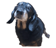 786807922