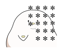 786816221