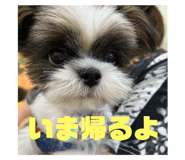 786838748