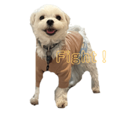 786838770