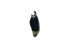 786843406