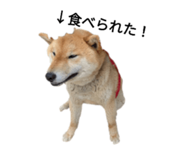 786866742