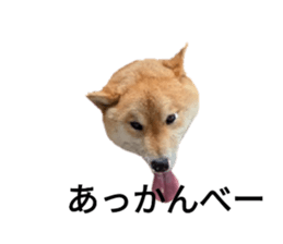 786866744