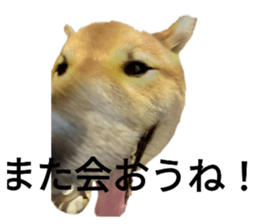 786866745