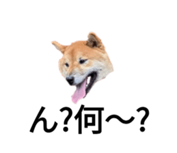 786866750