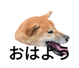 786866753