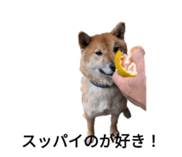 786866754