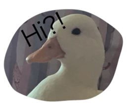 786889361