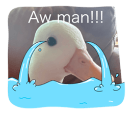786889378