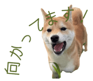 786889521