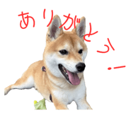 786889523