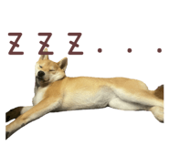 786889524