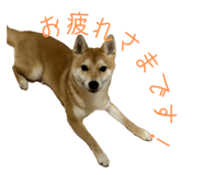 786889525