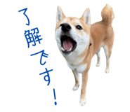 786889527