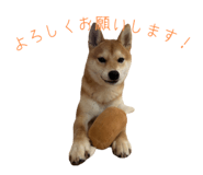 786889530