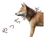786889531