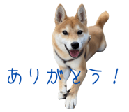 786889533