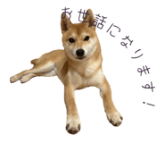 786889535