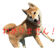786889536