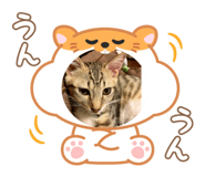 786889820