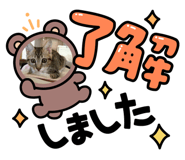 786889823