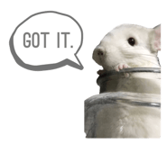 786924537