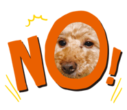 786924556