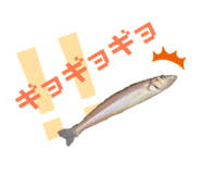 786924560