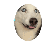786933078