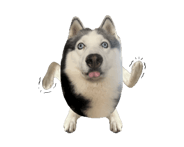 786933080